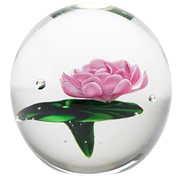 Large Paperweight - Pink Water Lily 91193P