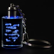 Crystal Keychain - School of Fish, Blue LED 51907B