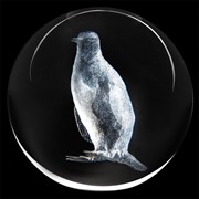 Crystal Paperweight - Penguin 51402PG