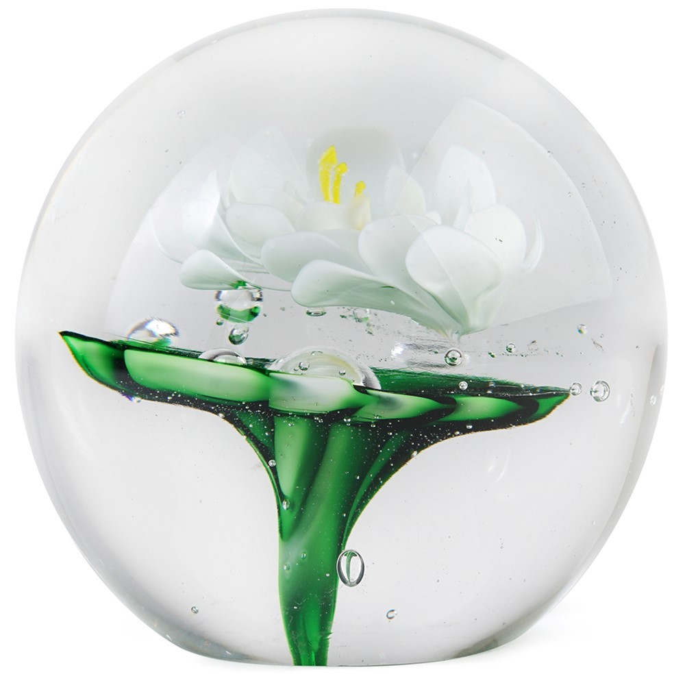 Large Paperweight - White Water Lily 91193W