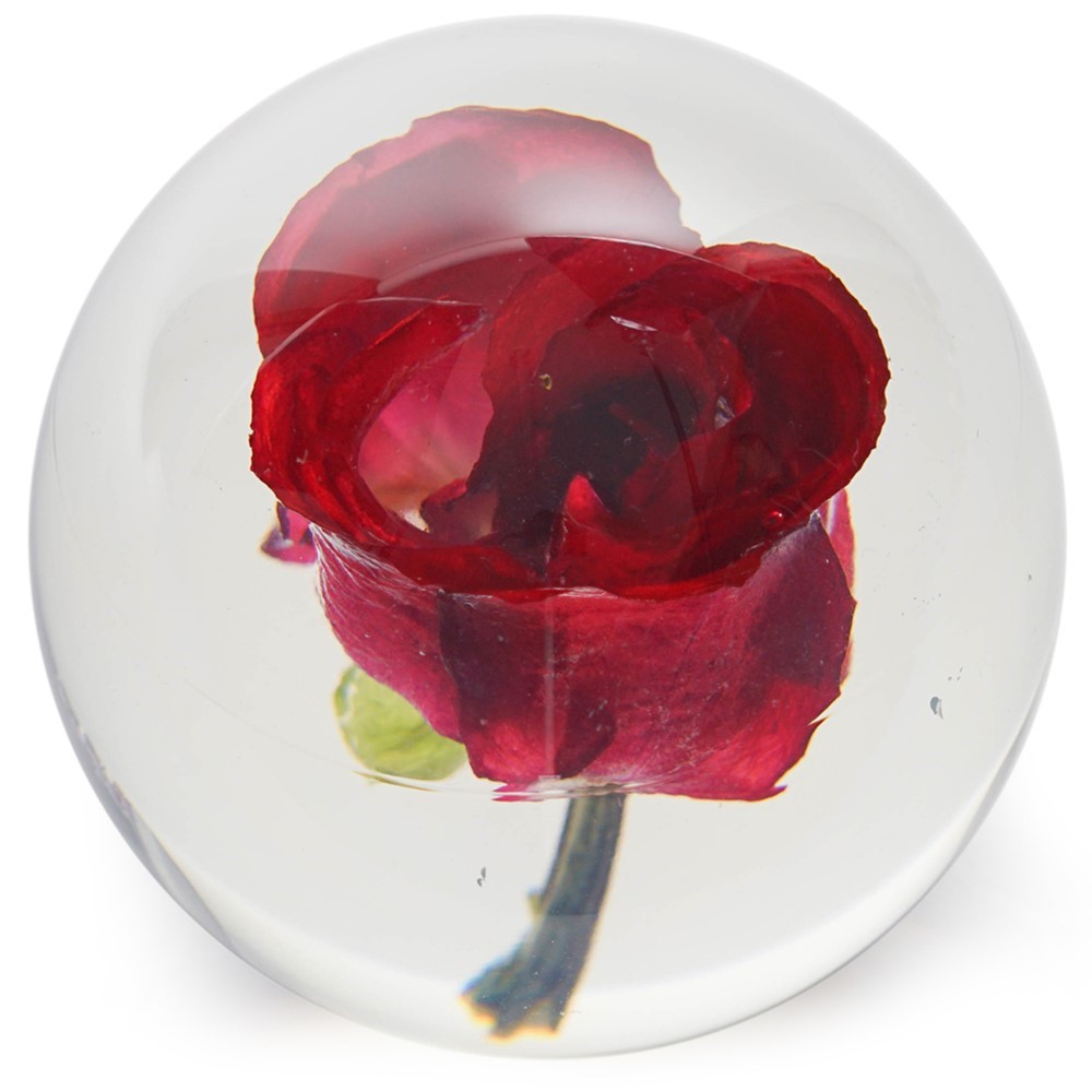 FloraCulture Paperweight - Red Rose 6680RSR