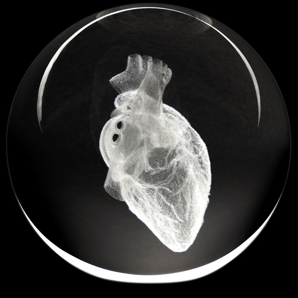 Crystal Paperweight - Human Heart 51409HT