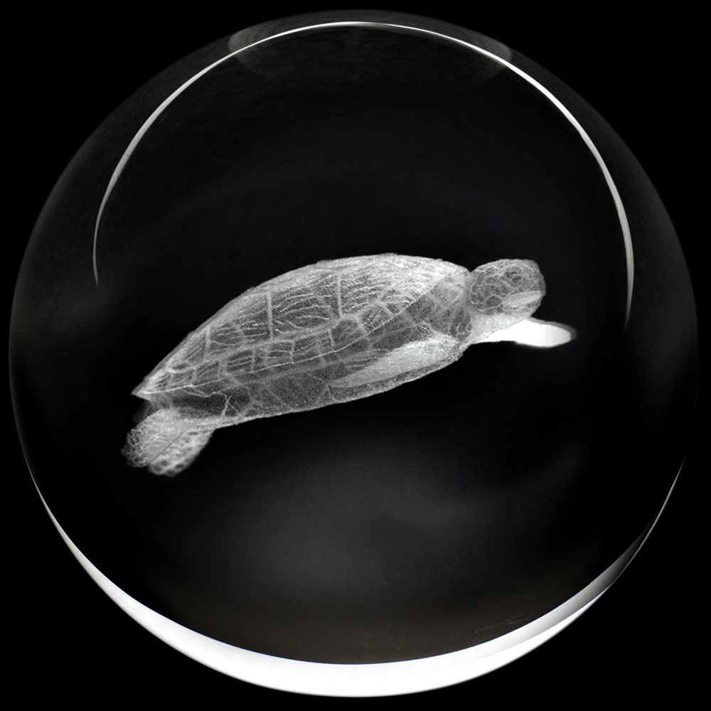 Crystal Paperweight - Sea Turtle 51402ST